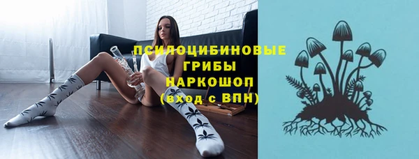 дурь Киреевск