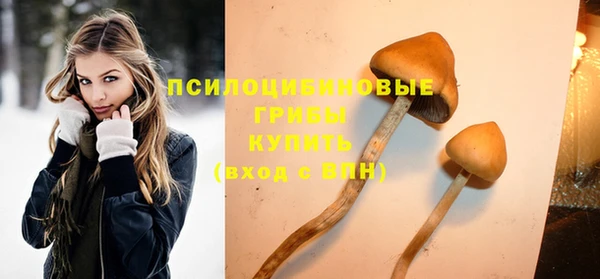 дурь Киреевск