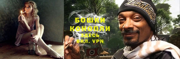 дурь Киреевск